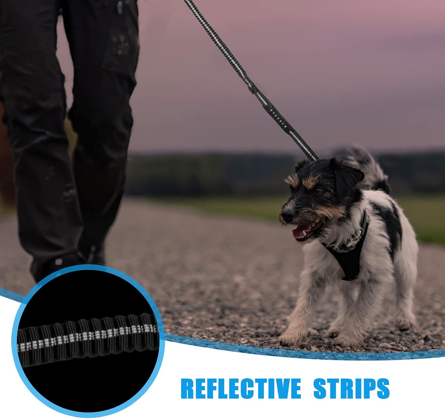 Raipult four to six feet expandable shock absorbing bungee lead