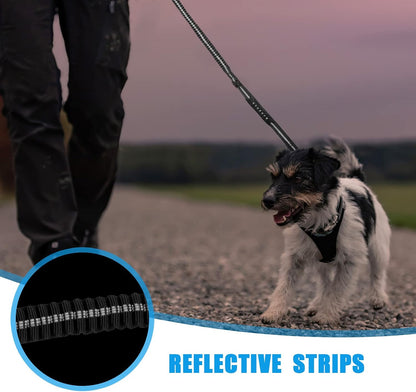 Raipult four to six feet expandable shock absorbing bungee lead