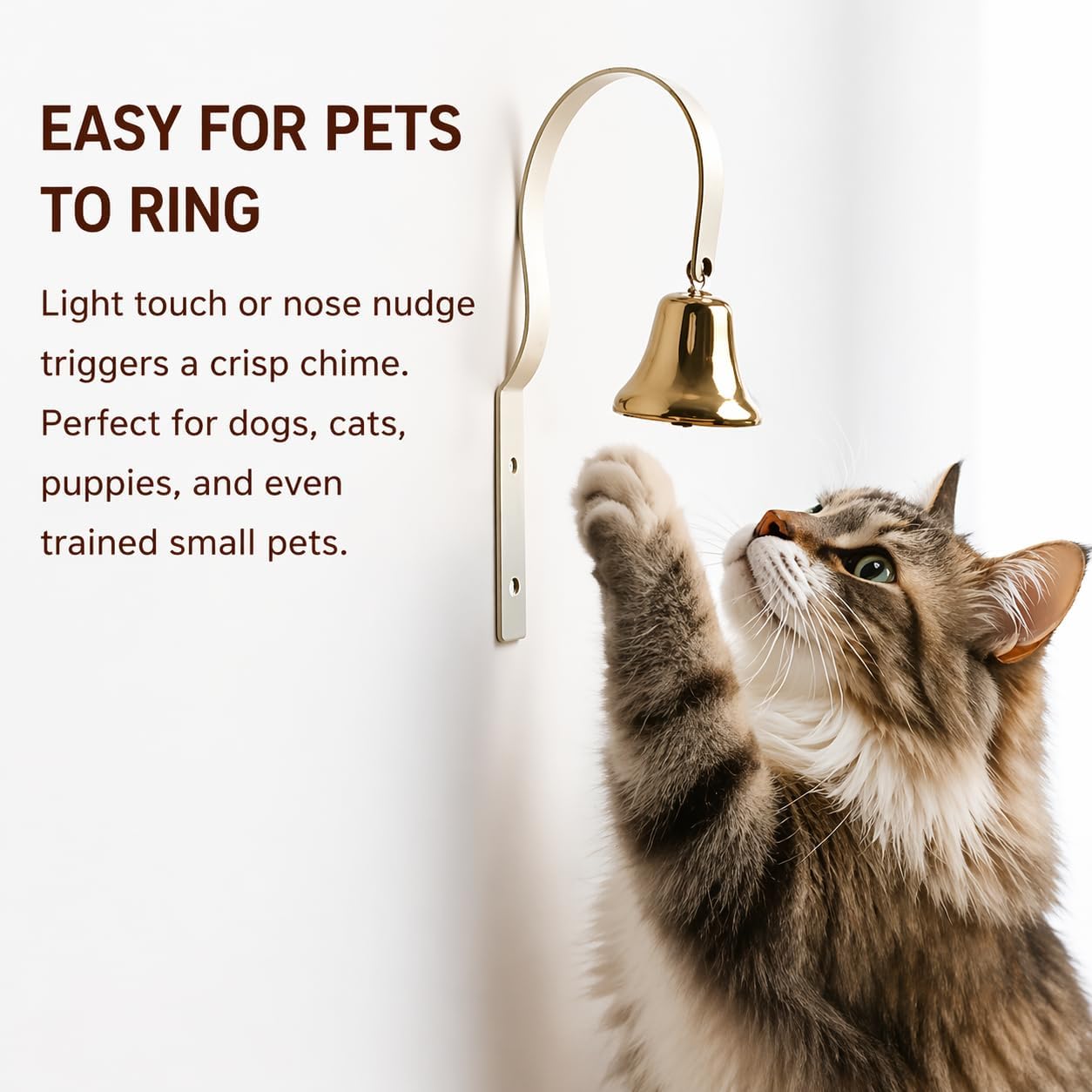 GoldTiger professional puppy potty training bell installation hardware