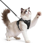 rabbitgoo Easy-on Cat Harness and Leash with Neck Buckle, S, Black | Escape Proof, No Over-the-head, Lockable Adjusters, 3 Secure Buckles, Soft Air Mesh, Reflective, for Average Adult Cats Walks - Image 10