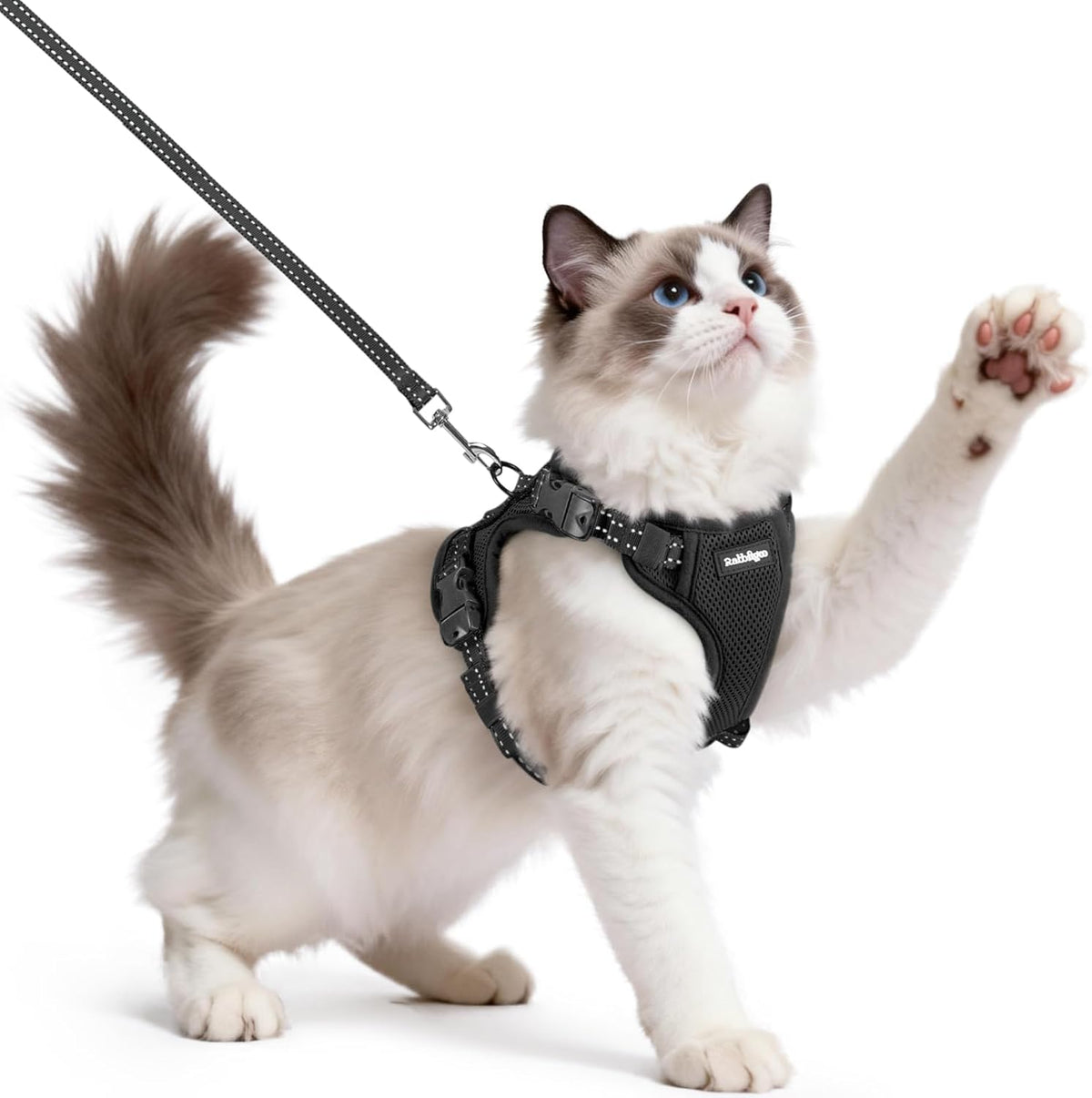 rabbitgoo Easy-on Cat Harness and Leash with Neck Buckle, S, Black | Escape Proof, No Over-the-head, Lockable Adjusters, 3 Secure Buckles, Soft Air Mesh, Reflective, for Average Adult Cats Walks - Image 10