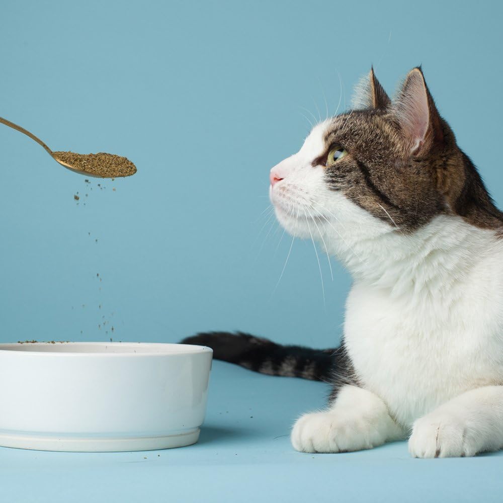 The Missing Link Feline supplement jar back ingredient label
