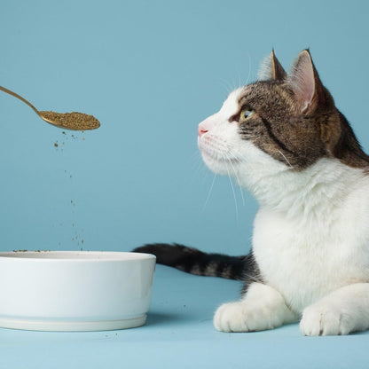 The Missing Link Pet Kelp Feline supplement nutritional information label