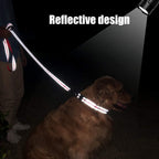 FunTags heavy duty nylon dog leash being used for outdoor training sessions.