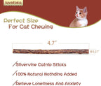 Close up of natural matatabi silvervine chew sticks for kittens