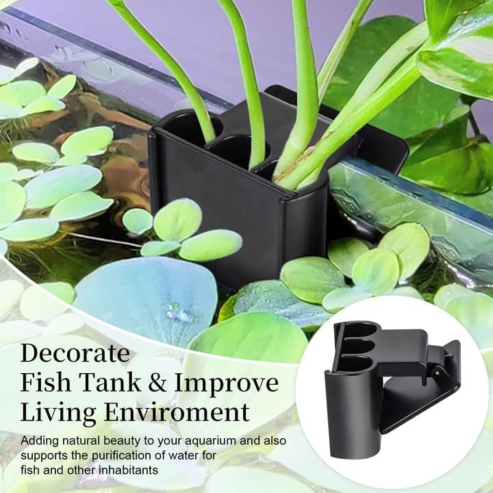 Top down perspective of the Ztzfacai three hole aquatic plant cup before tank installation.