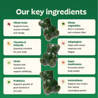 Gruns Adult Greens Gummies & Daily Multivitamin, Prebiotic Fiber, 28 ct - Image 3