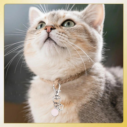 Authentic Ancnoz cat collar accessory for everyday wear.