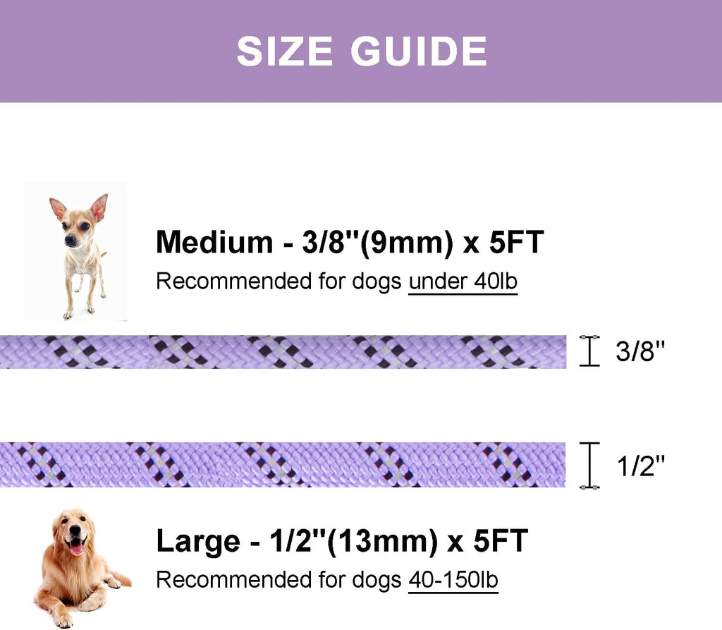 Petarea British style dog training lead layout showcasing the full five foot length.