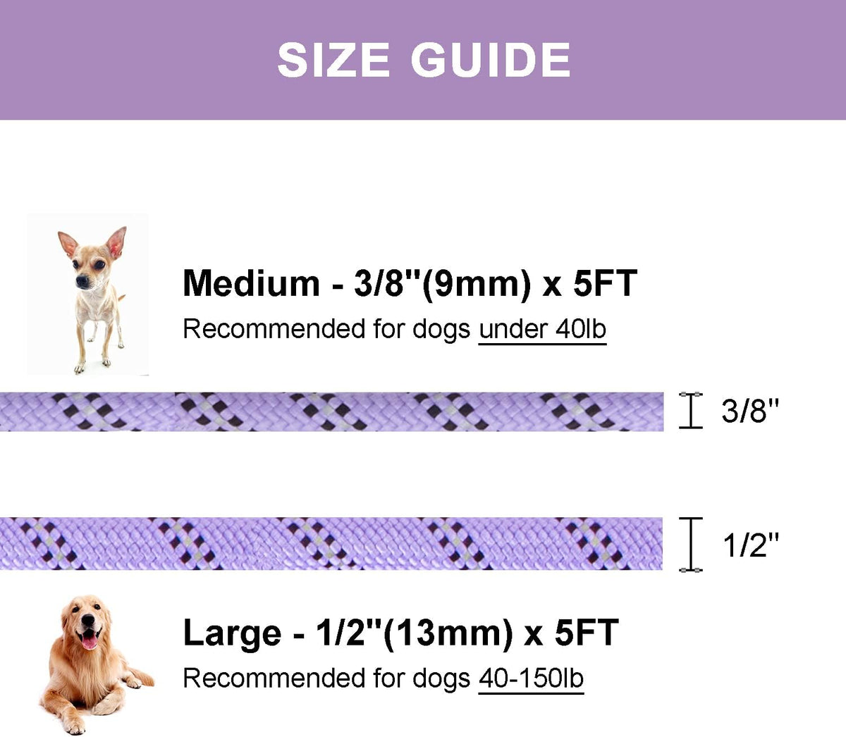 Petarea British style dog training lead layout showcasing the full five foot length.