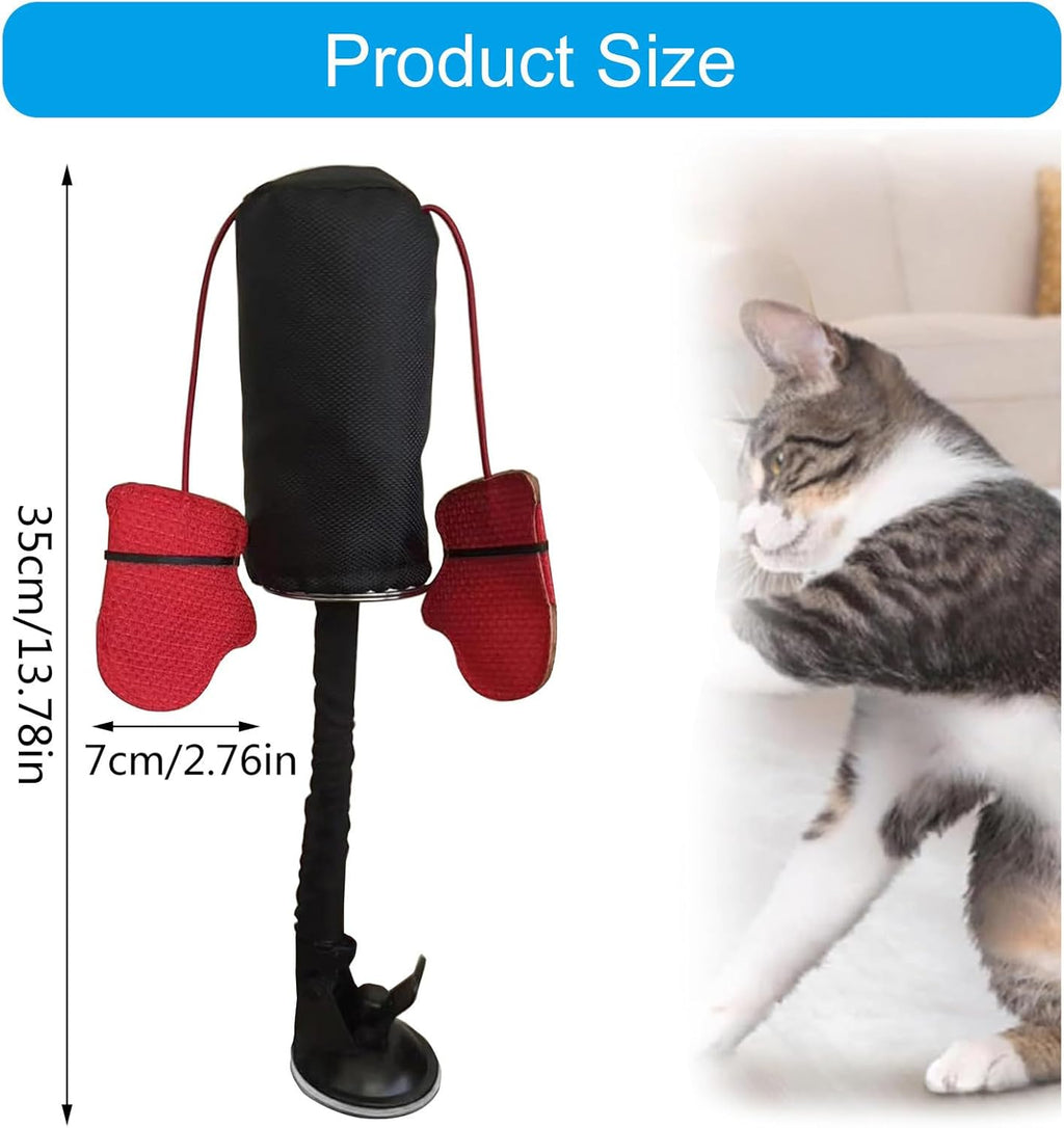 ESTCNK cat boxing gym toy installed on smooth tile floor surface