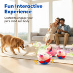 Generic interactive dog toy showing plush pig cover