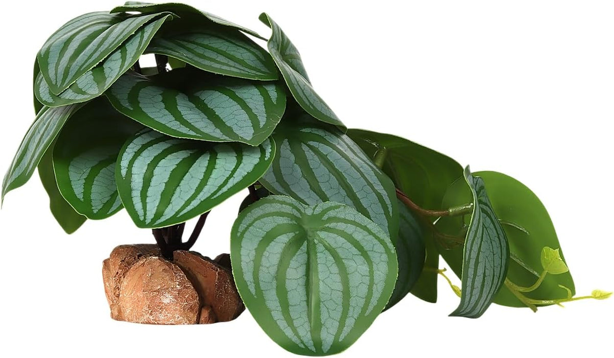 Reptile Plants for Terrarium, Ball Python Tank Decor Accessories fit Bearded Dragon Crested Leopard Gecko Lizard Chameleon Snake Frog Tortoise Hermit Crab - Fake Monstera - Image 11