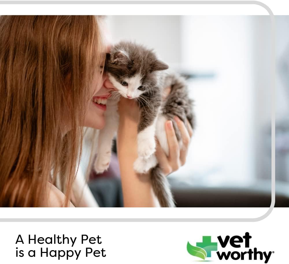 Vet Worthy 12 oz cat milk replacement powder lifestyle view