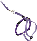 PetSafe Come with Me Kitty Harness and Bungee Leash Adjustable, Lightweight Harness for Cats Medium, Lilac - Image 14