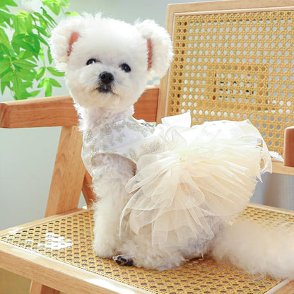 Rear view showing the secure metal D-ring harness attachment on dog clothes.