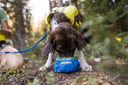 Durable leakproof synthetic fabric water bowl for outdoor active pets