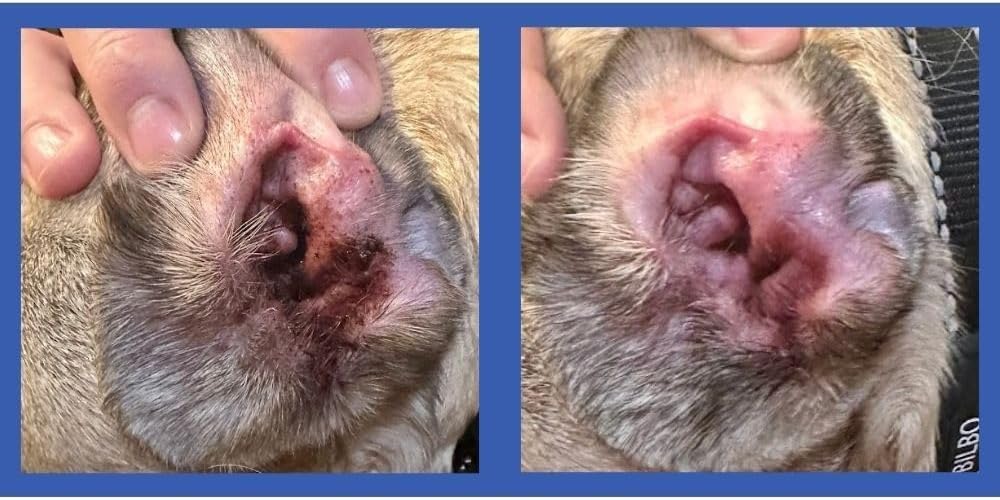 Squishface alcohol free cat and dog ear cleaning sheaths