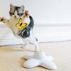 All For Paws automatic teaser toy base and rotating wand