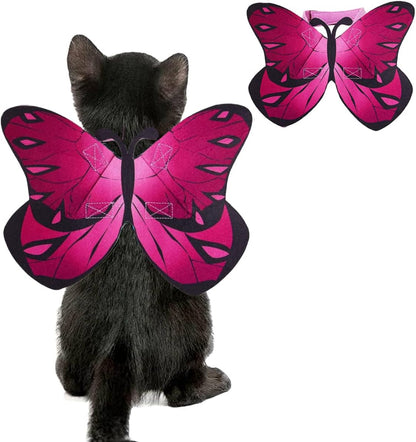 Puoyis pet accessory packaging and wing details
