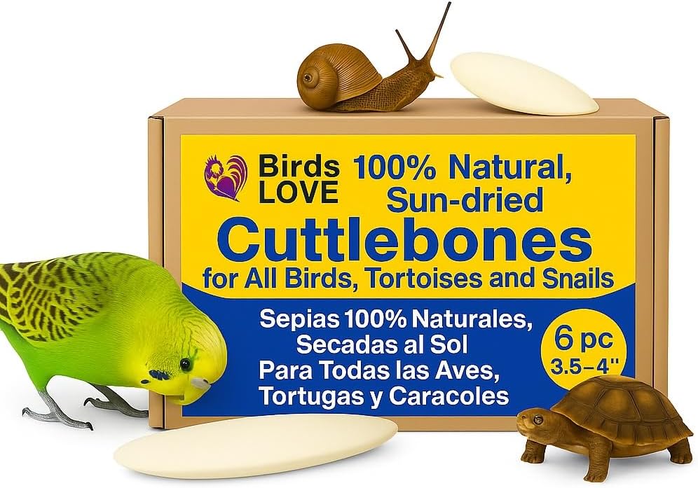 Birds LOVE 3.5-4" Cuttlebone for Birds - 100% Natural Sun-Dried Calcium & Beak Conditioning Supplement for Parakeets, Budgies, Cockatiels, Finches & Canaries - 4 Pack with Holder - Made in Vietnam - Image 14