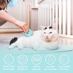 Ameliade authentic imported pet massager brush packaging and design overview for premium pet care.