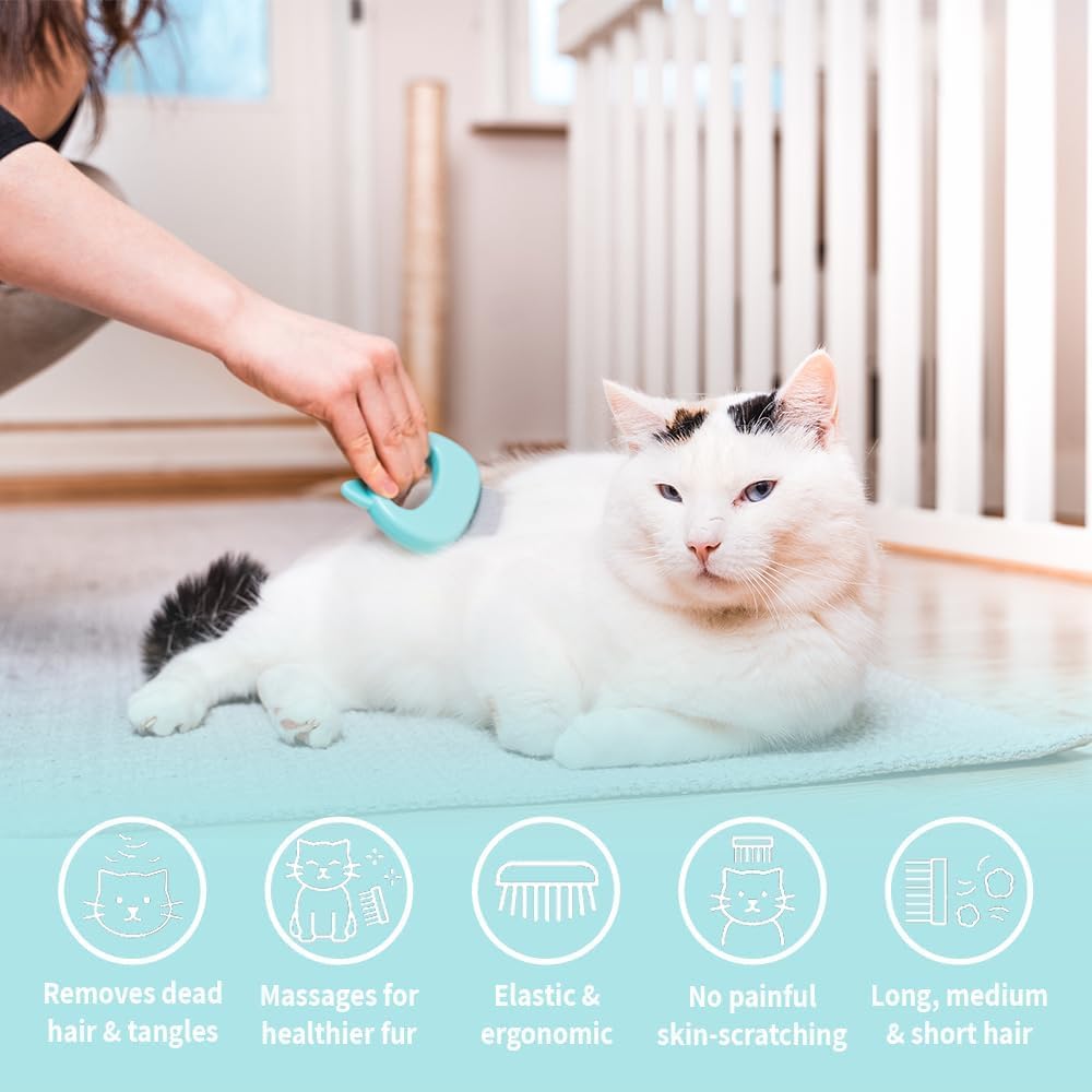 Ameliade authentic imported pet massager brush packaging and design overview for premium pet care.