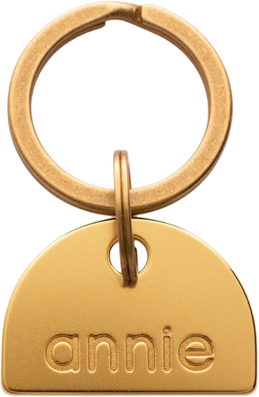 Solid Brass PET TAG - Modern, Minimal Pet IDs. Durable, Lifetime Tags with deep Cut Text. Includes Space for Two Phone Numbers. (Circle) - Image 10