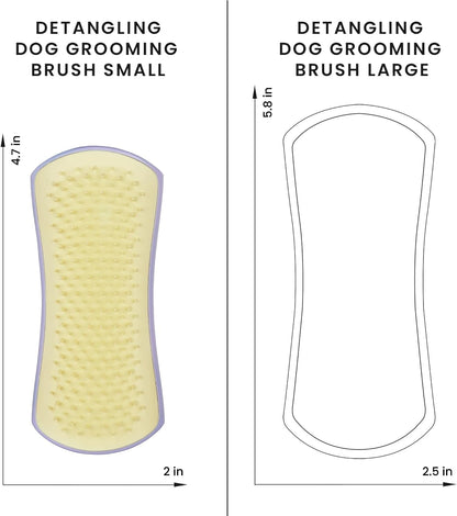 Grooming a small dog using the authentic Pet Teezer brush
