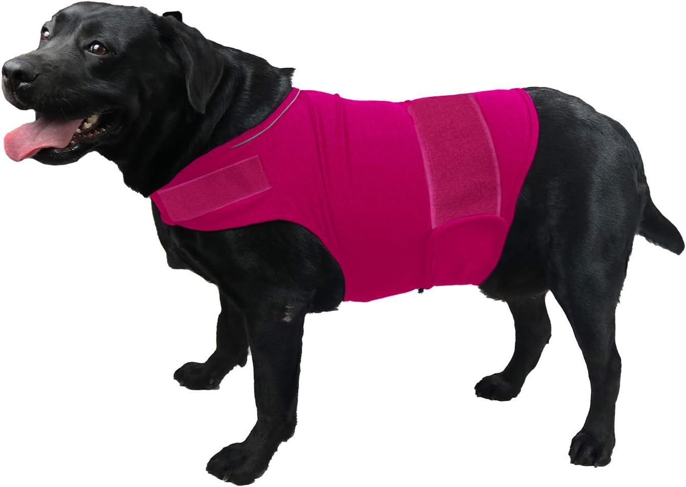 Comfort Dog Anxiety Relief Coat, Dog Anxiety Calming Vest Wrap for Thunderstorm,Travel,4th of July Fireworks,Vet Visits,Separation Anxiety Relief for Dogs (S, Rose) - Image 14