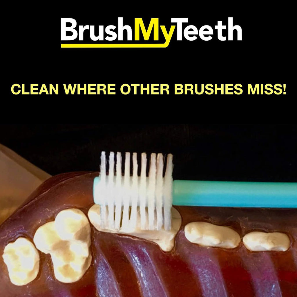 Round brush head design for large breed dog dental care