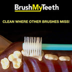 Round brush head design for large breed dog dental care