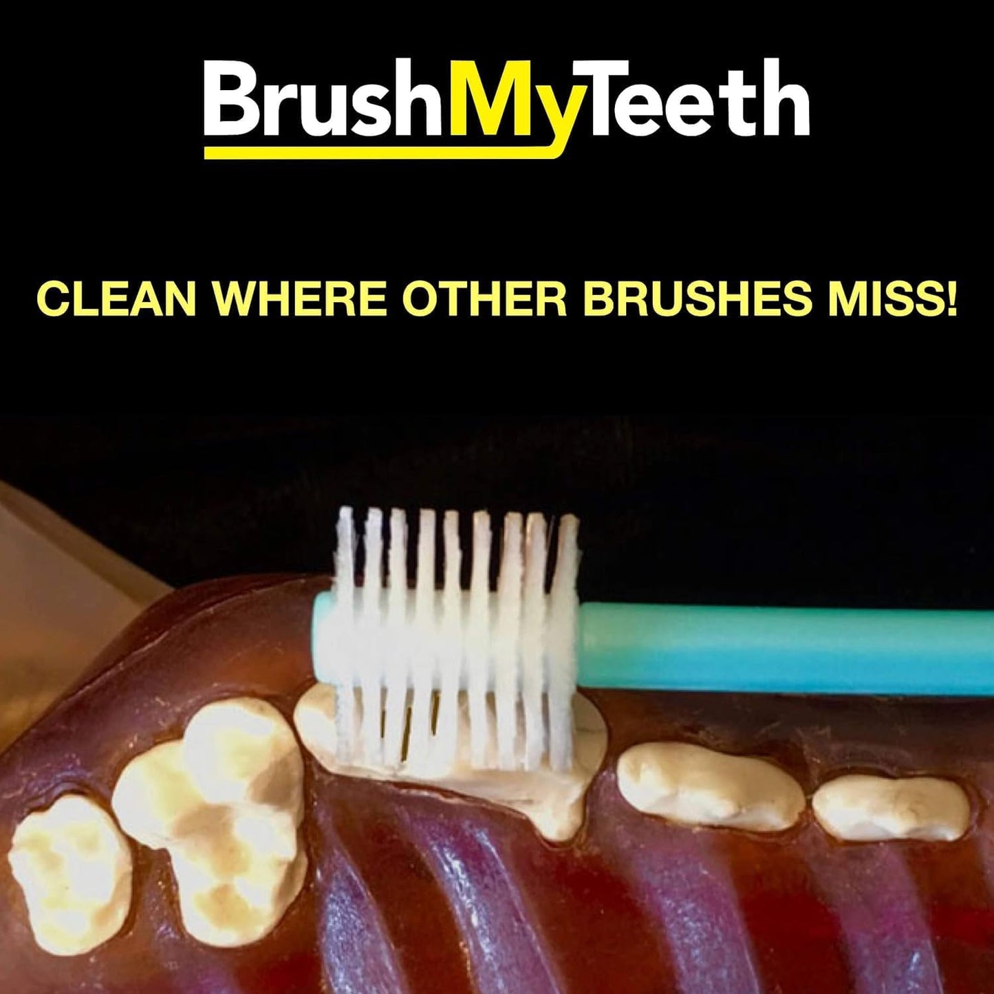 Round brush head design for large breed dog dental care