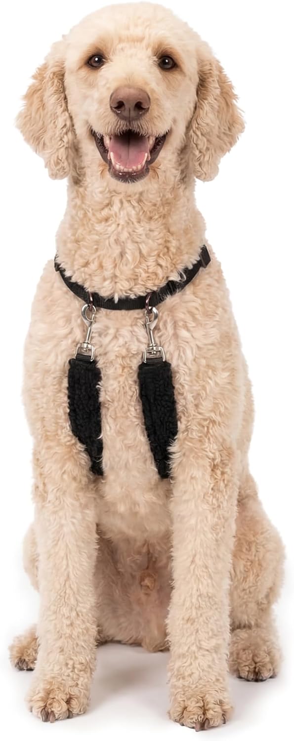Sporn Original Training Halter front view on a large dog showing the black padded sherpa sleeves
