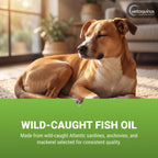 Authentic Vetoquinol imported pet supplement capsules for glossy coat