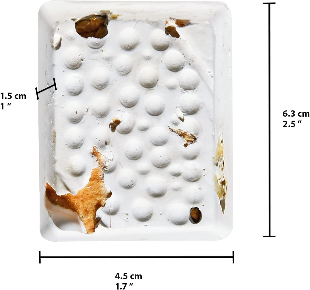 Hagen Hari bird supplement with dried apple pieces ingredient focus