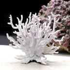 WEKVLPTH non toxic artificial stony coral aquarium landscape ornament back view