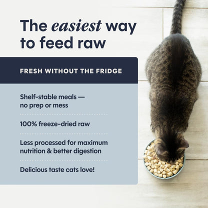 Premium natural cat food by Instinct featuring wild caught fish and nutrient rich organs