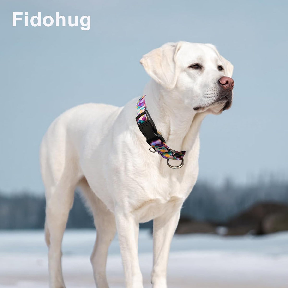 Fidohug adjustable nylon martingale collar night visibility demonstration