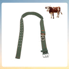 DOITOOL green livestock utility collar detailing the secure double prong buckle closure system