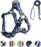 QQPETS Dog Harness Leash Set Adjustable Heavy Duty No Pull Halter Harnesses for Small Medium Large Breed Dogs Back Clip Anti-Twist Perfect for Walking - Image 13