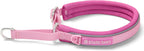 Spark Paws Martingale Dog Collar - Cushioned Slip-On Training Collar, Heavy Duty, Safety-Tested No-Buckle Collar for Medium & Large Dogs - 90s Retro - C - Image 9