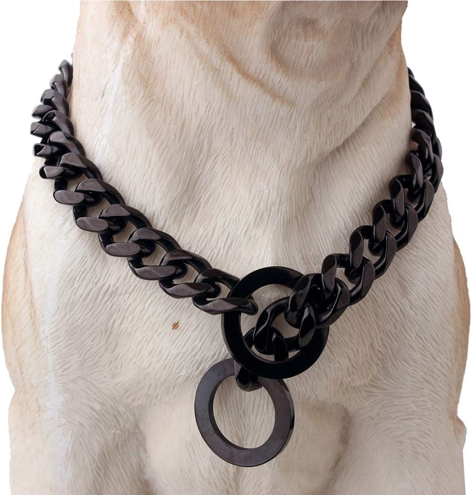 W/W Lifetime durable walking dog training collar front view heavy duty stainless steel chain