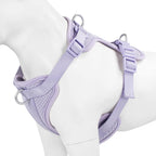 Wisedog comfortable walking harness for medium dogs