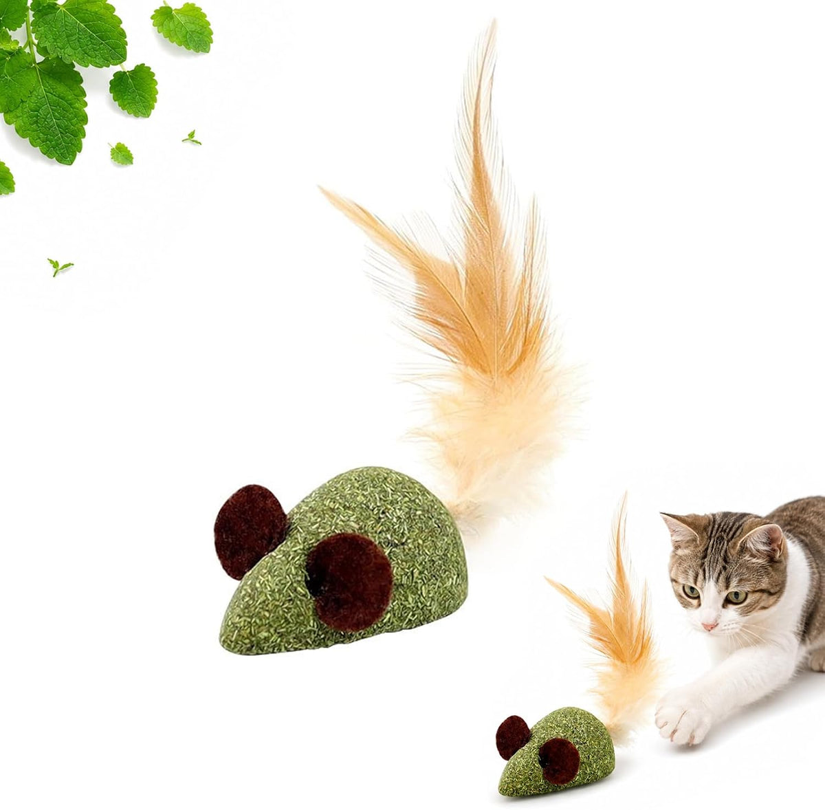 2026 New Creative Fish Bone Cat Dental Chew Toy -Natural Catnip & Silvervine Teeth Cleaning Stick, Fix Cat Dental Health, Durable Wooden Feline Tooth Care Tool (C) - Image 11