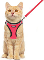 Step-in style cat harness layout demonstrating how easy it is to put on a kitten.