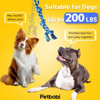 The heavy-duty shock absorbing spring cushion safety system designed for medium and large muscular dog breeds.