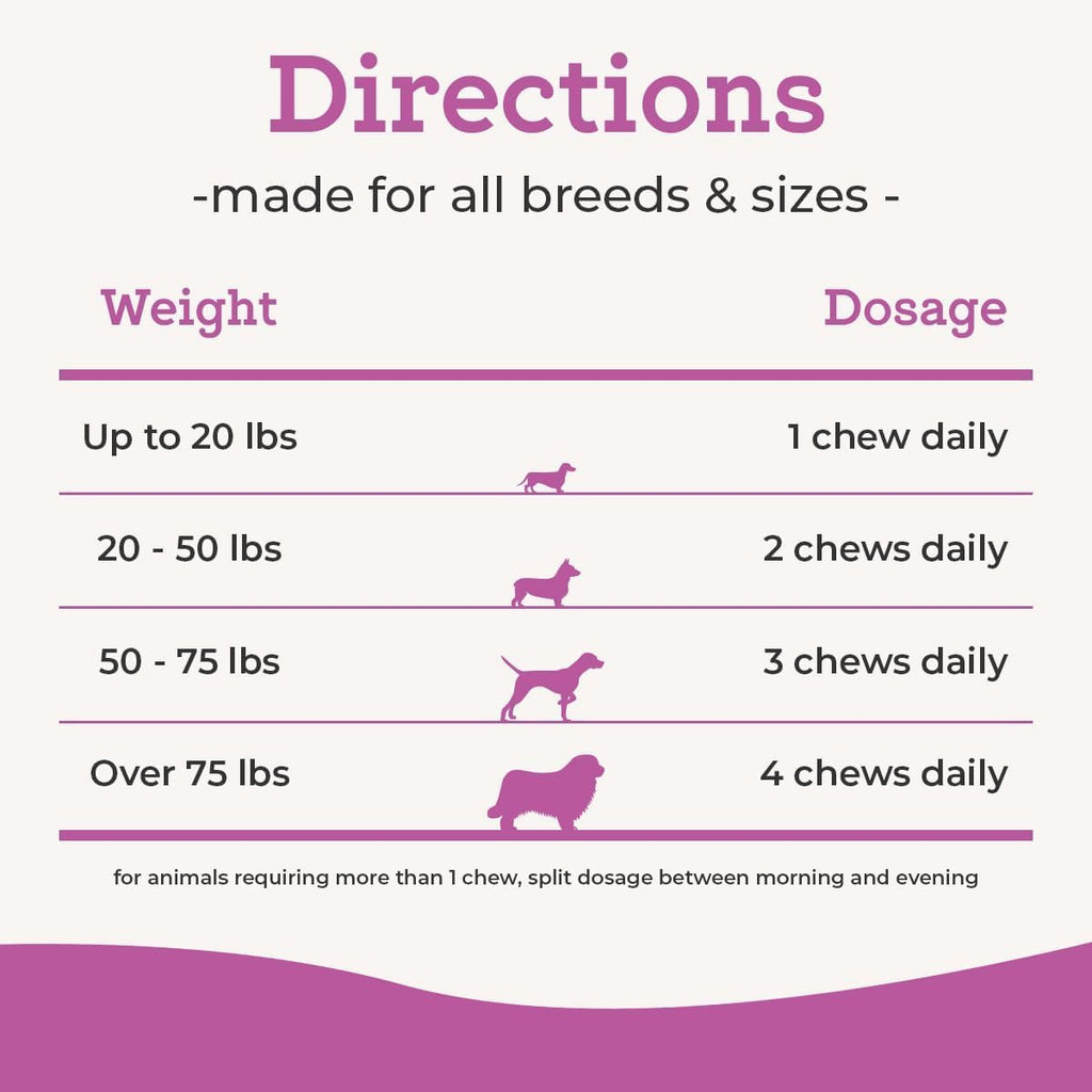 VetPro Complete maximum strength dog arthritis pain relief soft chews