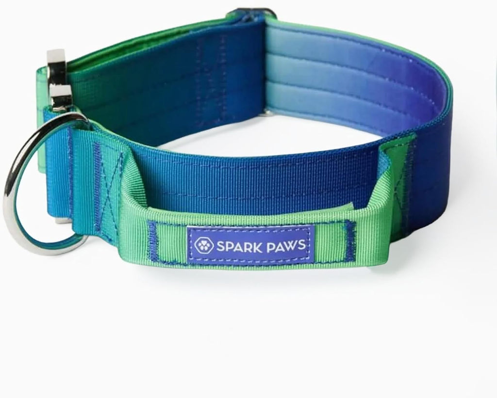 Spark Paws Tactical Dog Collar - Heavy Duty, Premium Quality, Thick and Durable for Large and Medium Dogs - 90's Retro - L - Image 12