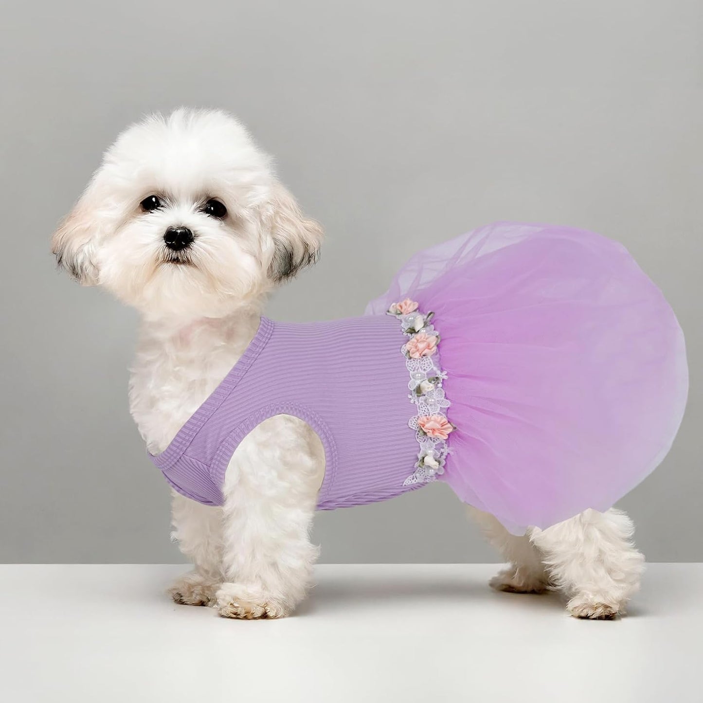 Underneath view of the CuteBone dog apparel showing the high-cut belly design and stretchable elasticized waistband.